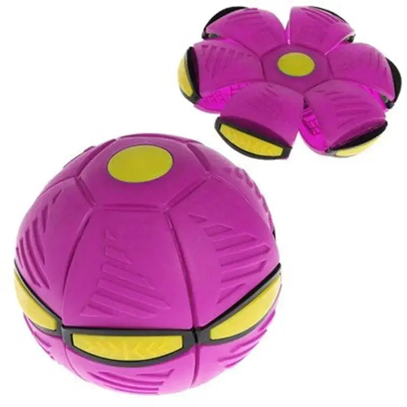 Flat Beach Garden Toy-7