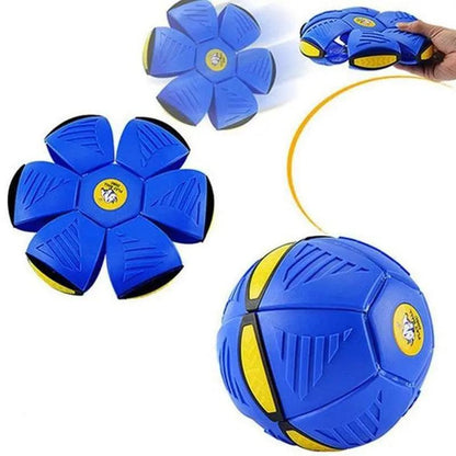 Flat Beach Garden Toy-1