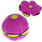Flat Beach Garden Toy-7