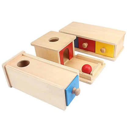 Montessori Wooden Educational Toy Set-3